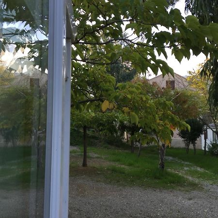 Camping Les Orangers San-Martino-di-Lota Cameră foto