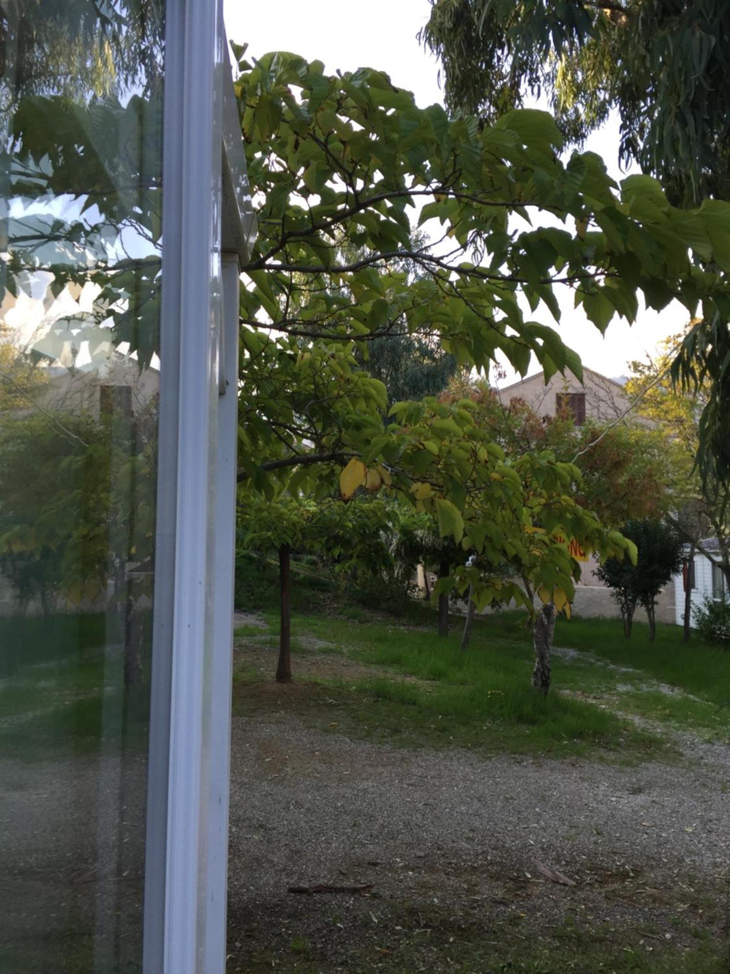 Camping Les Orangers San-Martino-di-Lota Cameră foto